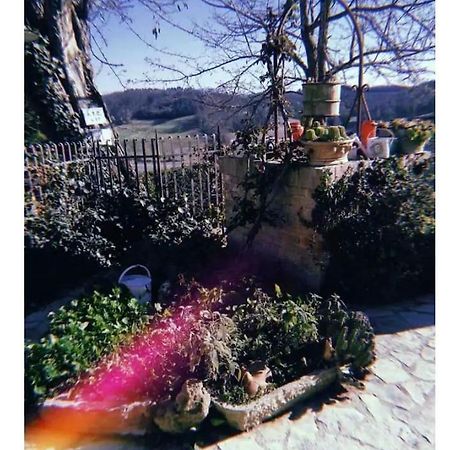 Ferienwohnung La Casina Di Ancicucco 1 San Gimignano Exterior foto